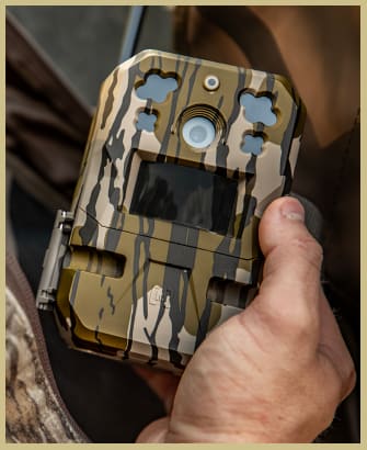 Click here for all camera and accessories