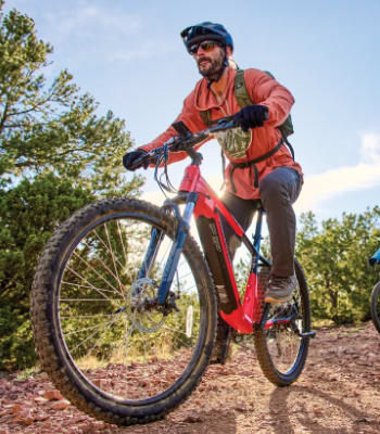 Ascend Bikes Bass Pro Shops