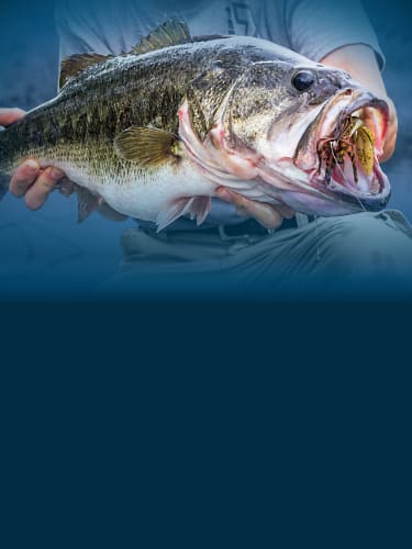 Bass pro cheap fishing shoes