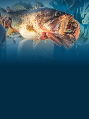 Cabela's on X: Who is ready for spring smallie fishing? Spring Fishing  Classic is happening now through March 27th, head over to your local  Cabela's or click the link to gear up!