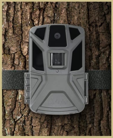 Click here for traditional trail cameras