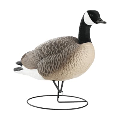 Northern Flight Full Body Canda Goose