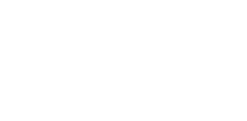 Northern Flight logo