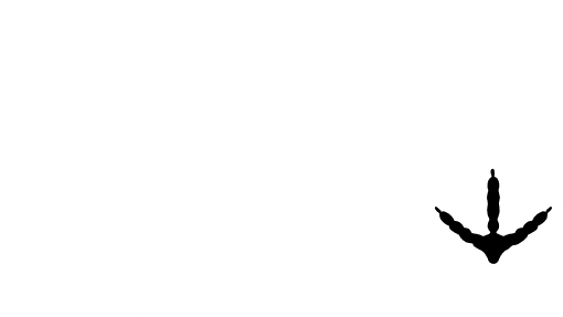 Turkey Season is here