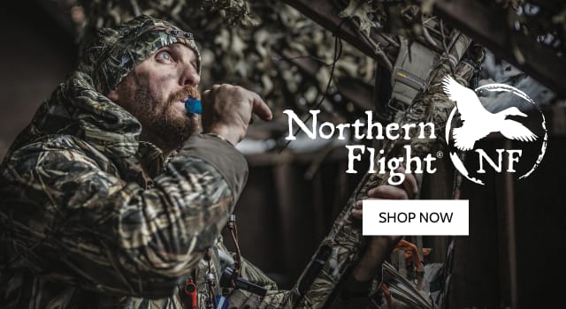 Waterfowl Migration