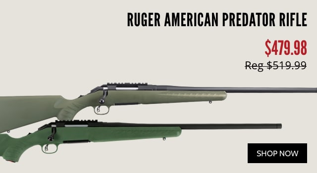 Ruger American Predator Rifle