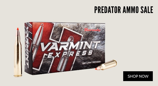 Predator Ammo Sale