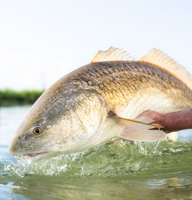 People Fishing in Lagoon