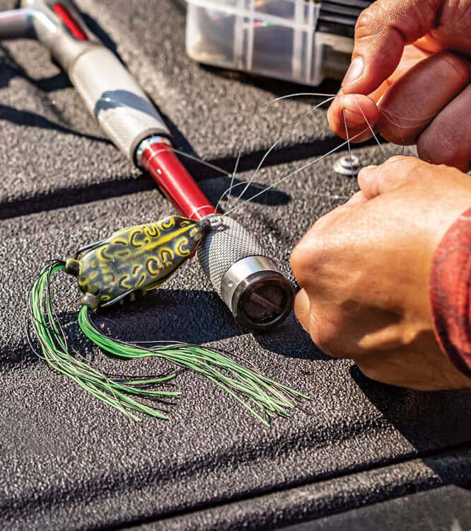  Hayashi Fishing Tackle Manufacturing 50 Pieces Tosa Coaba New  Aurora Skin White Flasher Mackerel, Metal Needle No. 7 : Sports & Outdoors