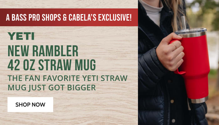 new rambler 42 OZ straw mug