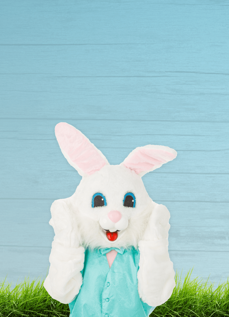  Track Easter Bunny, Easter Bunny Tracker