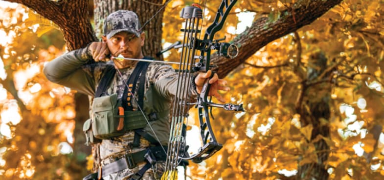 Cabela's archery discount