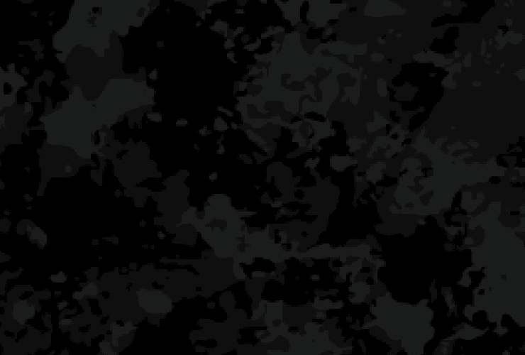 VSX Camo