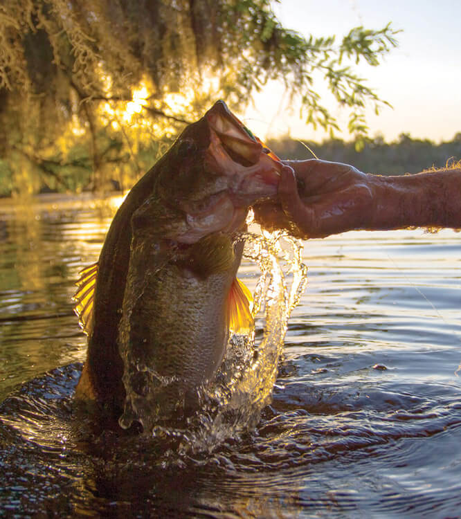 Bass Pro Shops Angler Jacket for Men - fishingnew