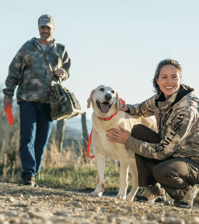 Dog Training