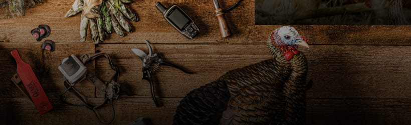 Learn More About Spring Turkey Hunting