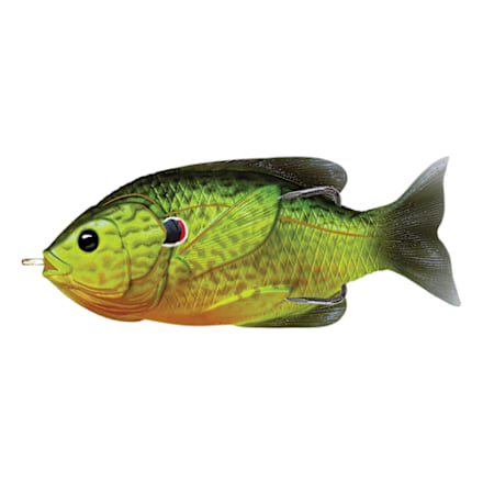 2023 bass lures OUR HIGHLIGHT LURES 2023 for European bass, Perch, Pike, Asp and Zander