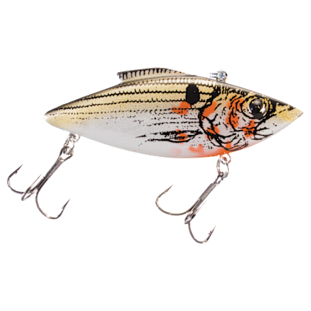 best pole for canada fishing trip Choosing the best pole rod for fishing  WalleyeX