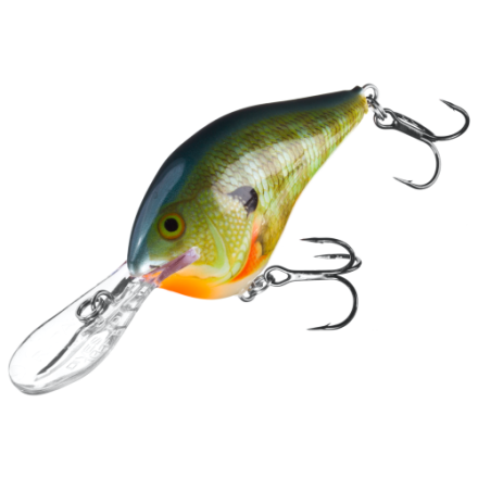 best rods to fly fish for largemouth bass Pro Tips: Top 5 Subsurface Flies for Largemouth Bass