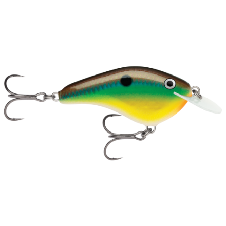 cat fish pole bass pro shop Bass Pro Shops King Kat Rod and Reel Spinning Combo