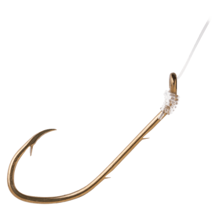 best rod and reel for bass fishing Selecting Rods and Reels