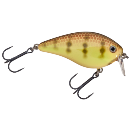 Strike King KVD 1.5 8個セット Strike King KVD 1.5 Flat Side Medium Diving Crankbait — Discount