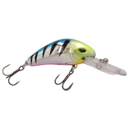 bass fishing lures pdf Bass Fishing Lures: A Complete Breakdown