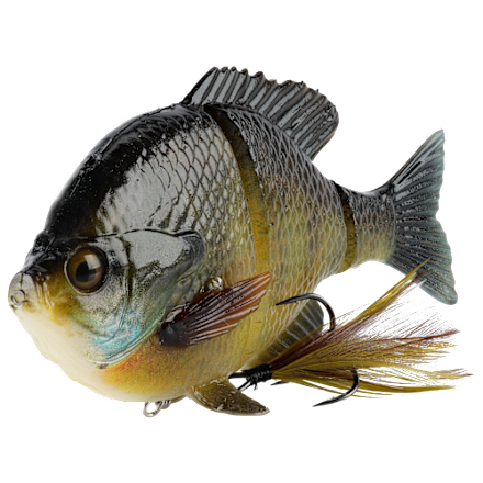 Savage Gear 3D Line-Thru Bluegill | Mack's Prairie Wings