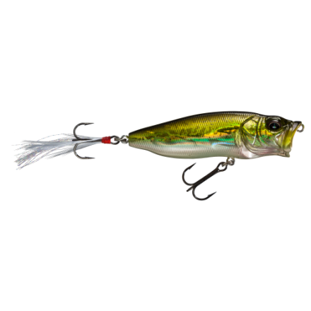 メガバス POPMAX『HUNGRY BASS R』（浜SP） POPMAX | Megabass-メガバス
