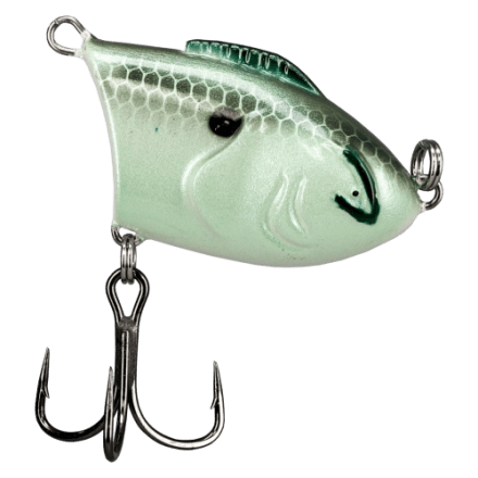 fish arrow air bag shad hook Fish Arrow AirBag Shad Soft Plastic Floating Swimbait