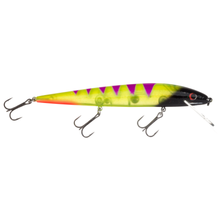 difference between string of bananas and fish hooks String of Bananas Vs String of Fishhooks
