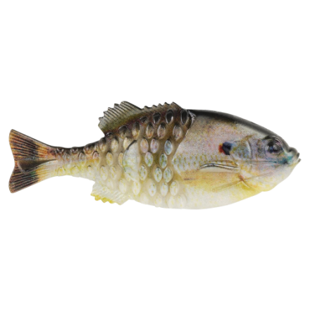Fishing Lure Berkley CullShad 8in HD Gizzard Shad - Realistic Swimming Bait For Big Fish Swimbait Bodies