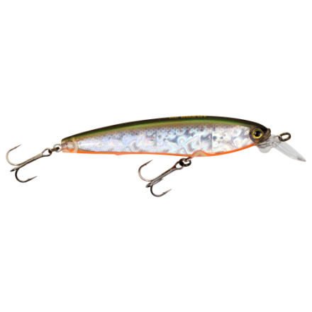 Fingerling 3D Inshore (SP) 100 mm 4