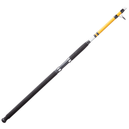 レビュー高評価の商品!の商品をすべて Bass Pro Shops CatMaxx Spinning Rod | Bass Pro Shops ロッド