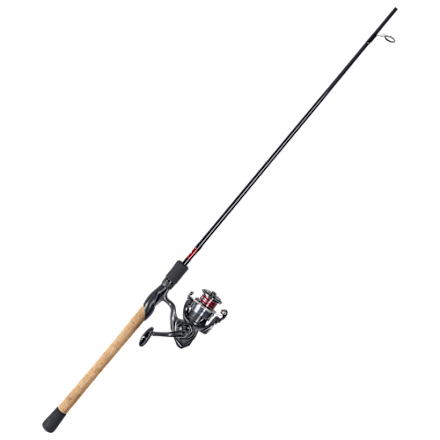 Daiwa BG Inshore Spinning Combo | Bass Pro Shops