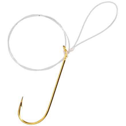 Eagle Claw Aberdeen 214ELF-6 Lot de 50 hameçons de pêche non décalés Bronze