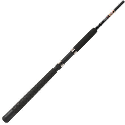 daiwa bg saltwater spinning combo Daiwa BG Saltwater Spinning Reels