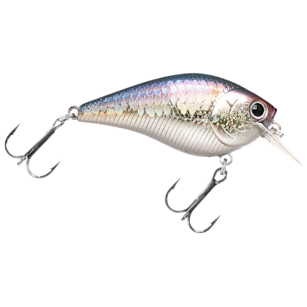 daiwa baitfeeder reels EMCAST BR LT – US Berkley Quick Set Boat Color:MF Firetiger import_2022_10_26_143716 these reels are equipped