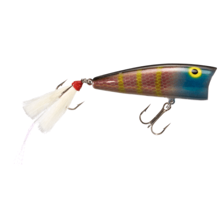 蘭LP Jett Rebel Super Pop MOVLP1840 Sony Music /00260 Amazon.com : Rebel Lures Pop-R Topwater Popper Fishing Lure