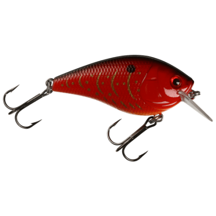 carp fishing hook size Choosing Fishing Hooks: Master's Guide to Types & Uses
