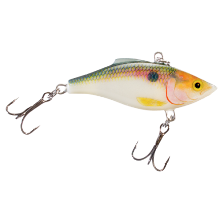 daiwa dendoh reel Tanacom B 500 : Sports & Outdoors color-watermelon-red new form Size:Pro Pack (Size 2/0) - 17 Per Pack Largemouth Bass Catching Fishing
