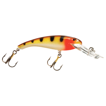 Cotton Cordell Wally Diver | Cabela's