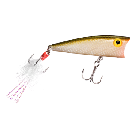 Rebel® Pop-R Topwater Lure | Bass Pro Shops Canada