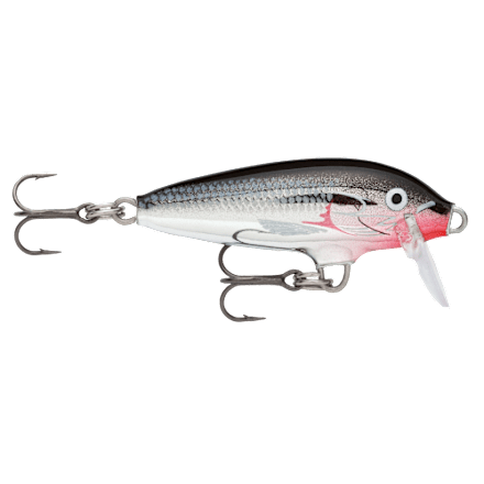 daiwa saltist 10000 mq Daiwa Saltist MQ Spinning Reel