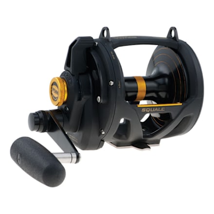 bass pro fishing lever drag reels Maxel Armory Wind Conventional ARMORY15BK The Penn International VI 1 Maxel 80 PBK Rage Pro