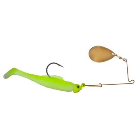 best daiwa reels Fishing Gear Best Daiwa Ultralight Spinning Reel Daiwa Best Ultralight  Fishing Reel Daiwa Regal LT Spin