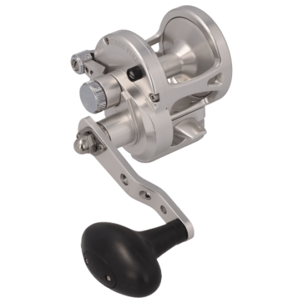 Daiwa Saltist Star Drag Conventional Reel | Cabela's