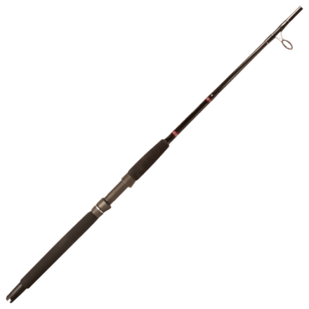 daiwa bg pre-mounted saltwater spinning combo stores Daiwa BG Surf Spinning Combo