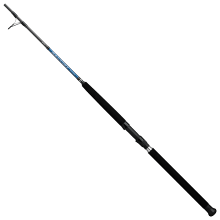 Daiwa Saltist Coastal Inshore Spinning Rod | Bass Pro Shops