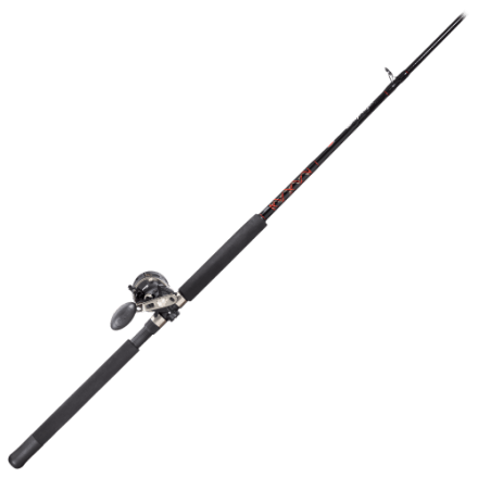 PENN 113H2/114H2 Senator Reel/Slammer Rod Combo | Bass Pro Shops